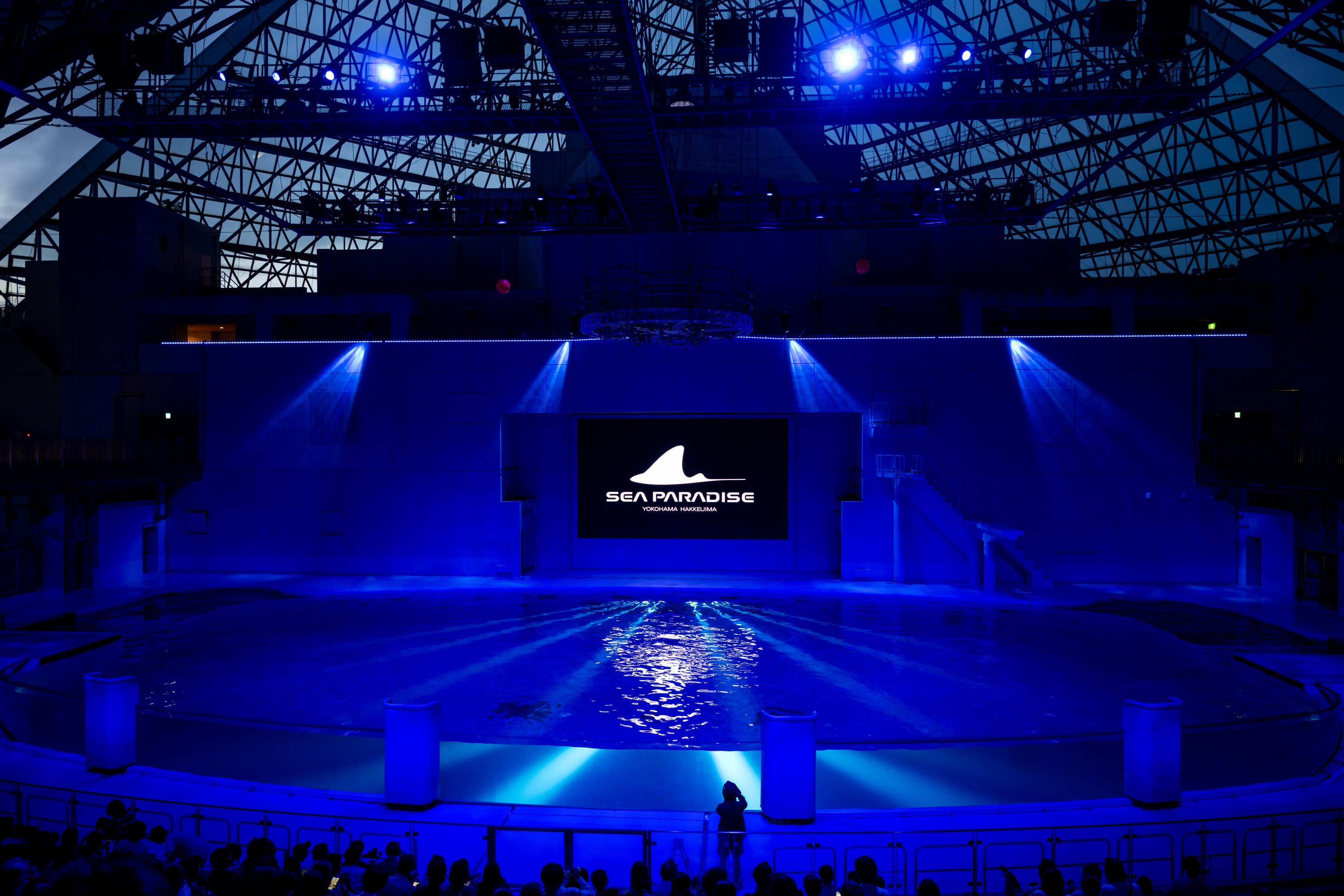 横浜・八景島シーパラダイス Animal Life Live!撮影(2025年)